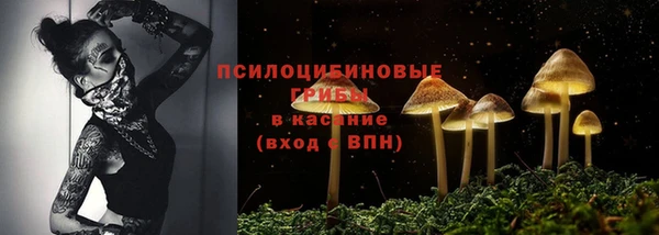 прущие крисы Краснотурьинск