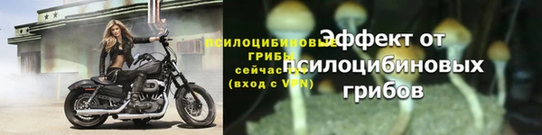 бошки Корсаков